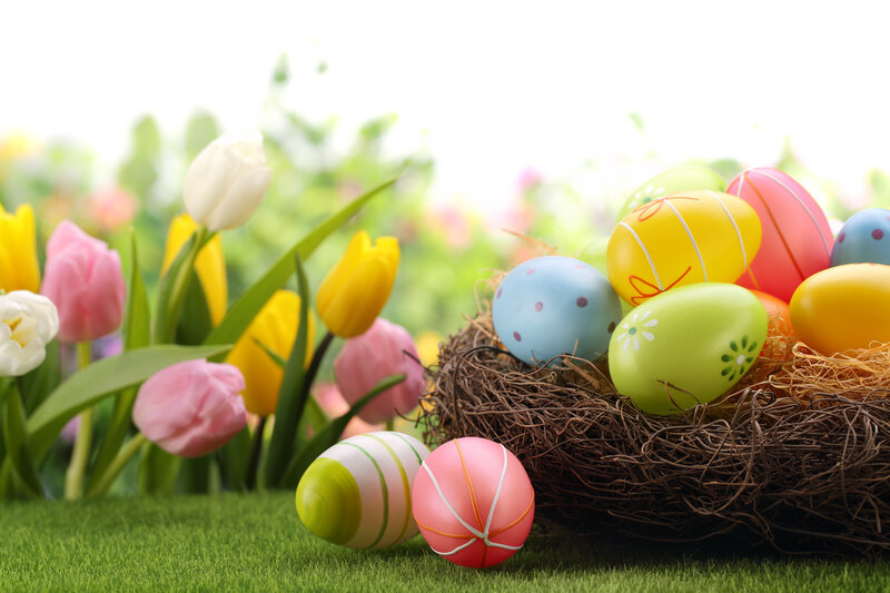 Easter Eggs in a Nest — Green, Festive, Spring, Photograph