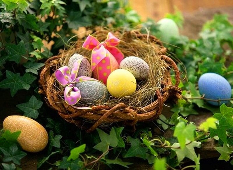 Easter Eggs in a Nest — Green, Festive