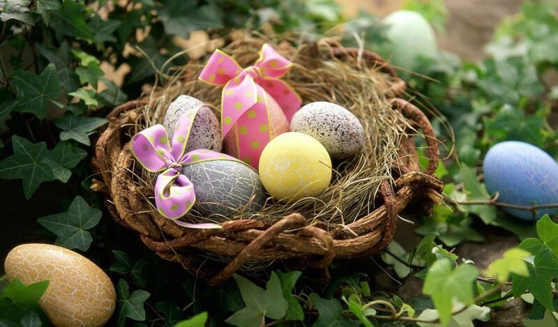 Easter Eggs in a Nest — Green
