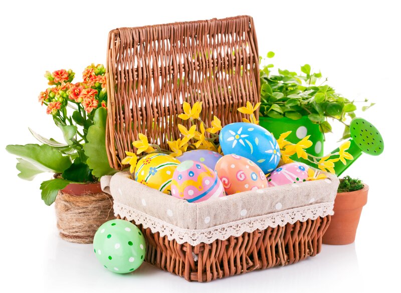 Easter Eggs in Basket — Brown, Festive