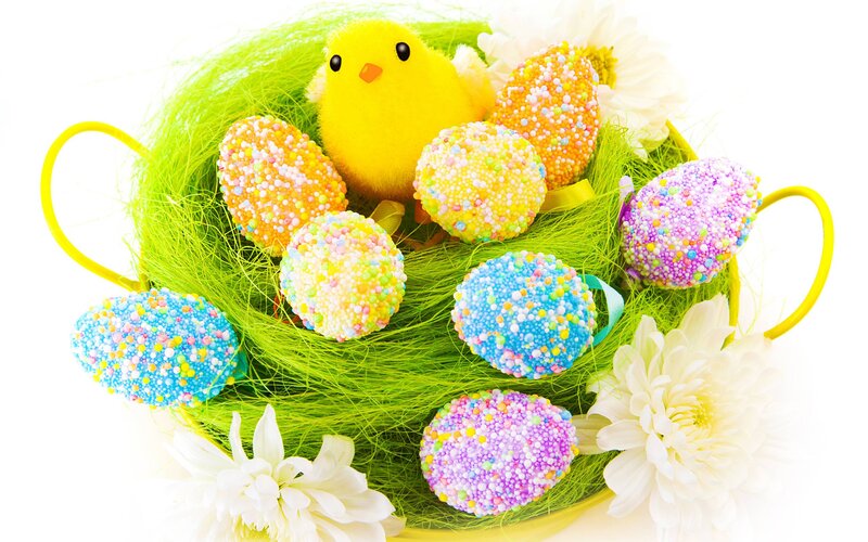 Easter Eggs in Basket — Green, Festive, Spring, Photograph, Chick