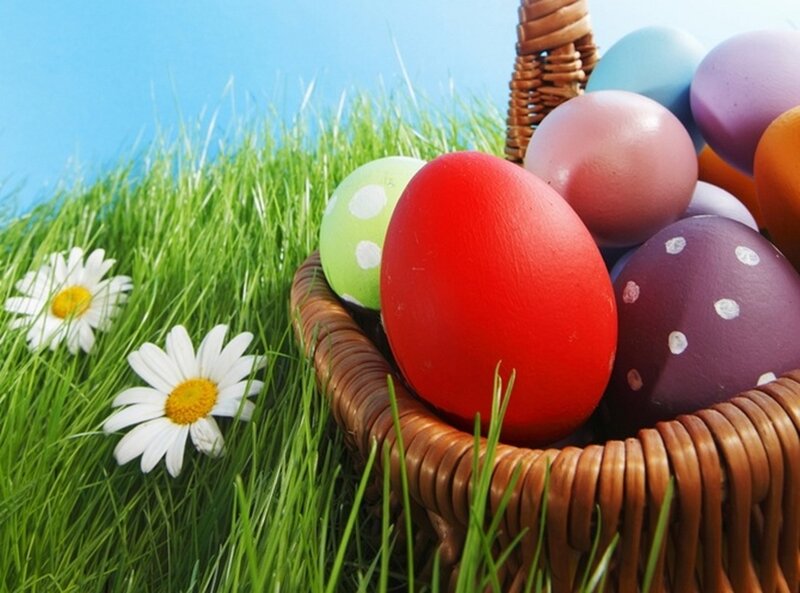 Easter Eggs in Basket — Green, Festive, Spring, Photograph, Daisies