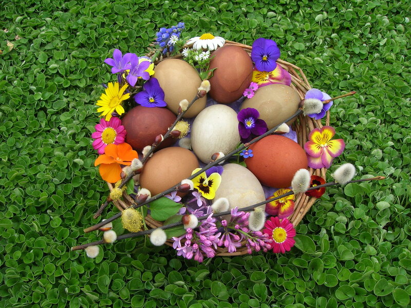 Easter Eggs in Basket — Green, Festive, Spring, Photograph, Flowers