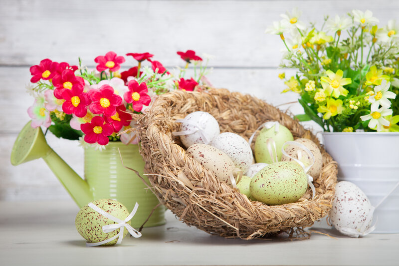 Easter Eggs in Basket — Green, Festive, Spring, Photograph, Flowers, Watering Can