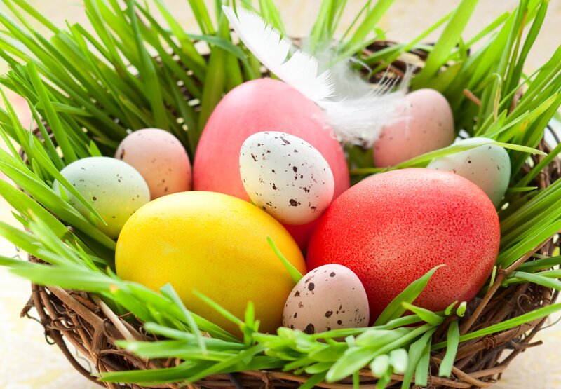 Easter Eggs in Basket — Green, Festive, Spring, Photograph