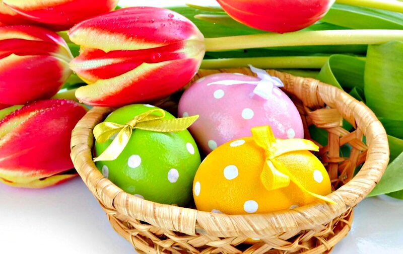 Easter Eggs in Basket — Green, Festive, Spring, Photograph, Tulips
