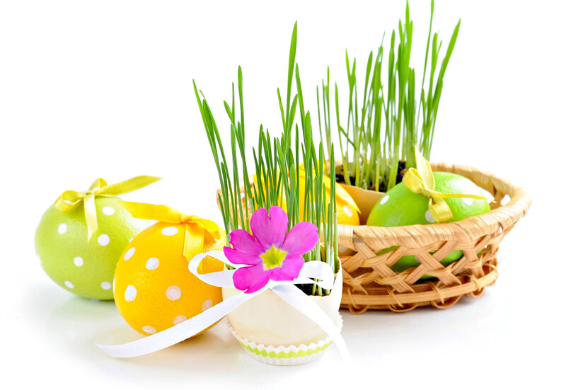 Easter Eggs in Basket — Green, Festive