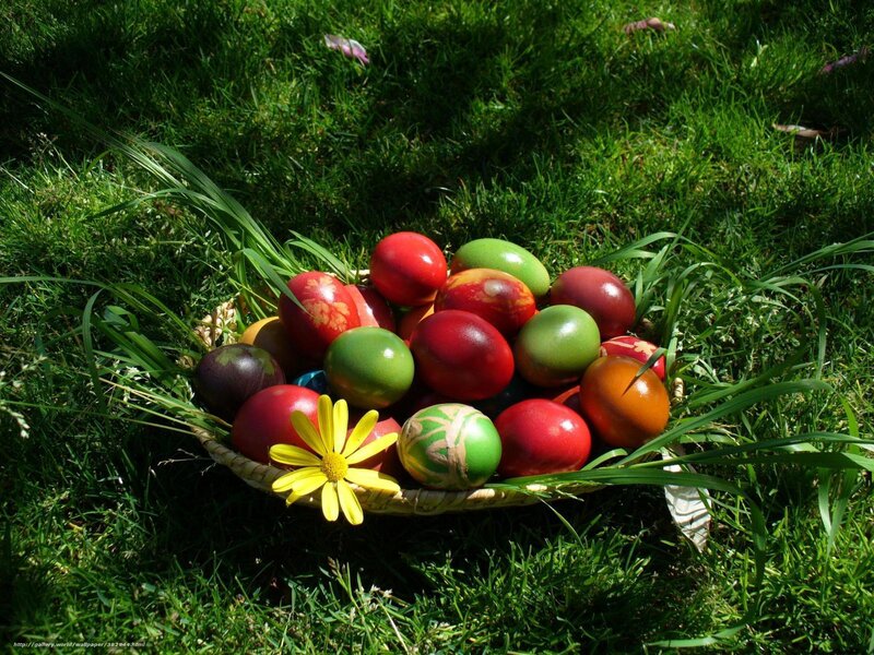 Easter Eggs in Basket — Green, Serene