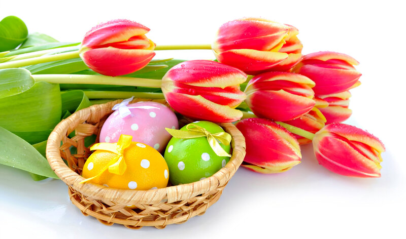 Easter Eggs in Basket — Red