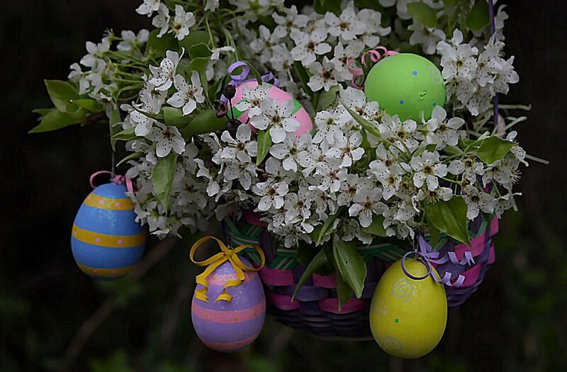 Easter Eggs in Basket — White, Festive
