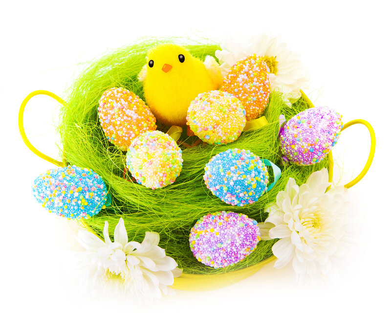 Easter Eggs in Basket — Yellow, Festive, Spring, Photograph, Chick