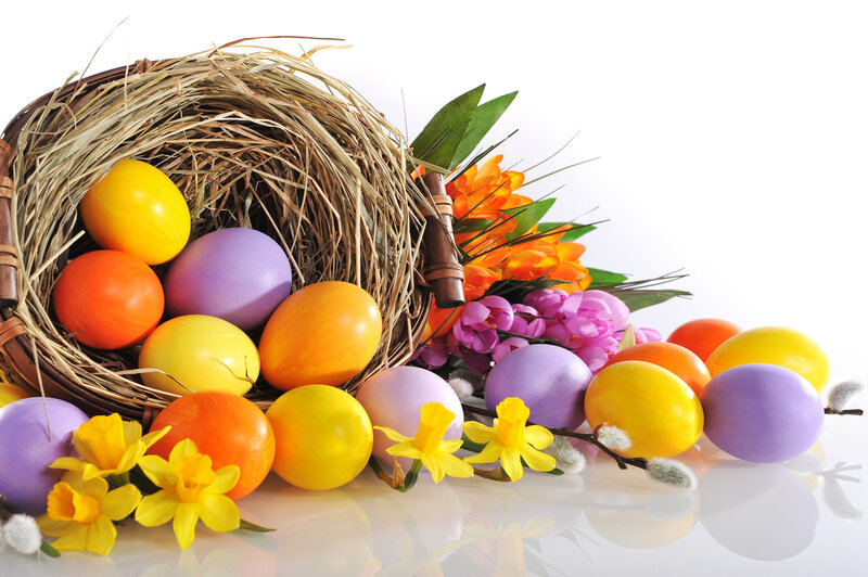 Easter Eggs in Basket — Yellow, Festive, Spring, Photograph, Flowers, Daffodils