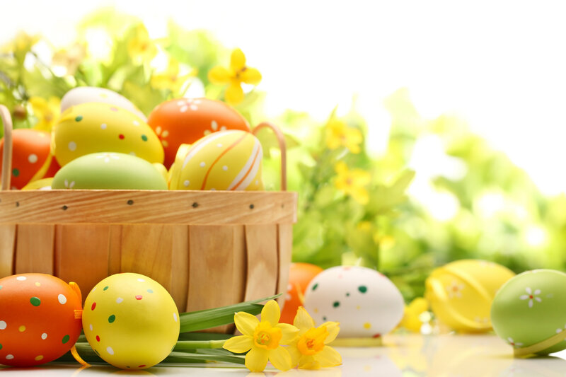 Easter Eggs in Basket — Yellow, Festive, Spring, Photograph, Flowers