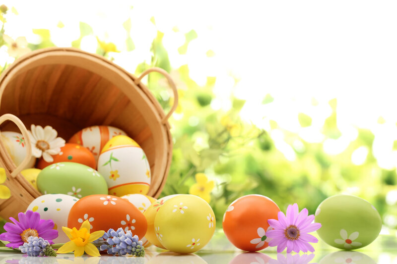 Easter Eggs in Basket — Yellow, Festive, Spring, Photograph
