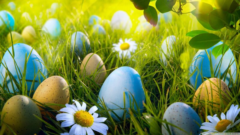 Easter Eggs in Grass — Green, Bright, Cheerful