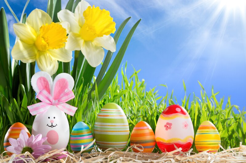 Easter Eggs in Grass — Green, Cheerful, Spring, Photograph