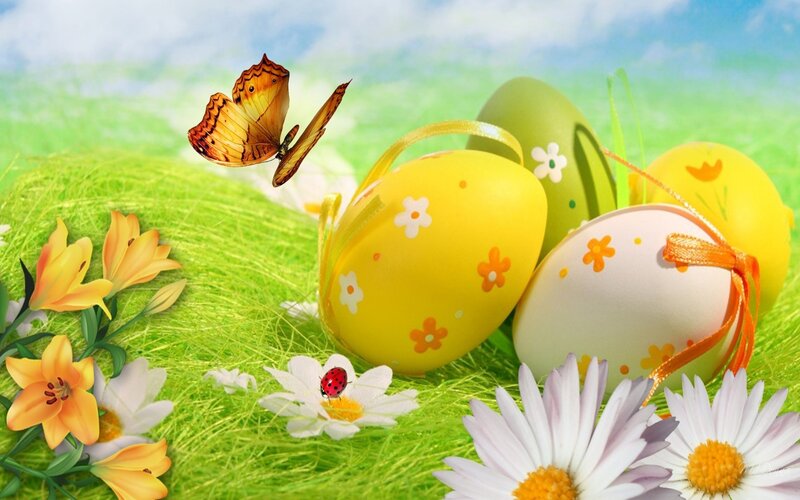 Easter Eggs in Grass — Green, Cheerful, Spring