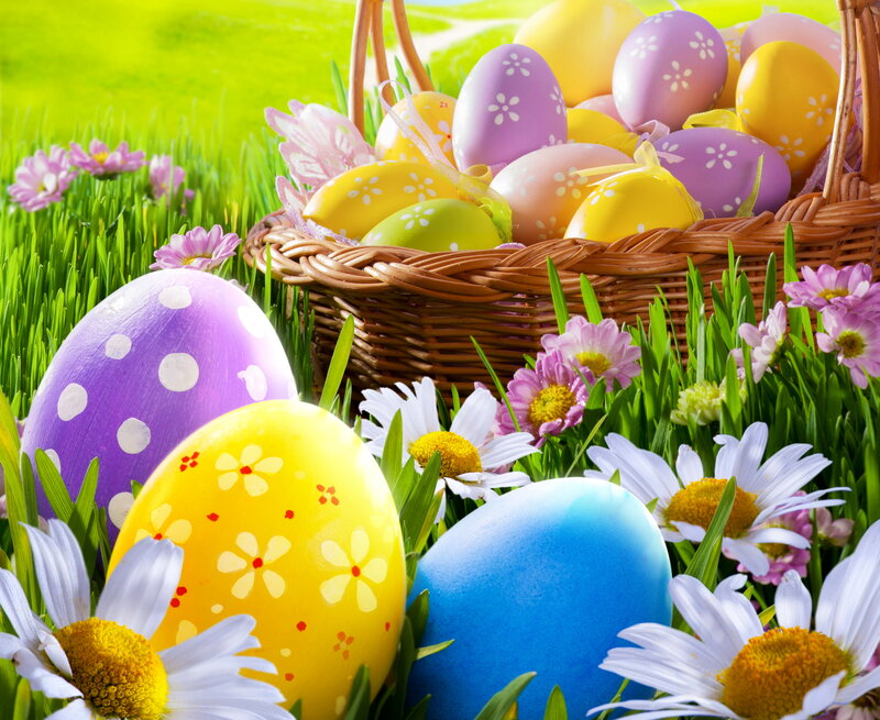Easter Eggs in Grass — Green, Festive, Spring, Photograph, Basket