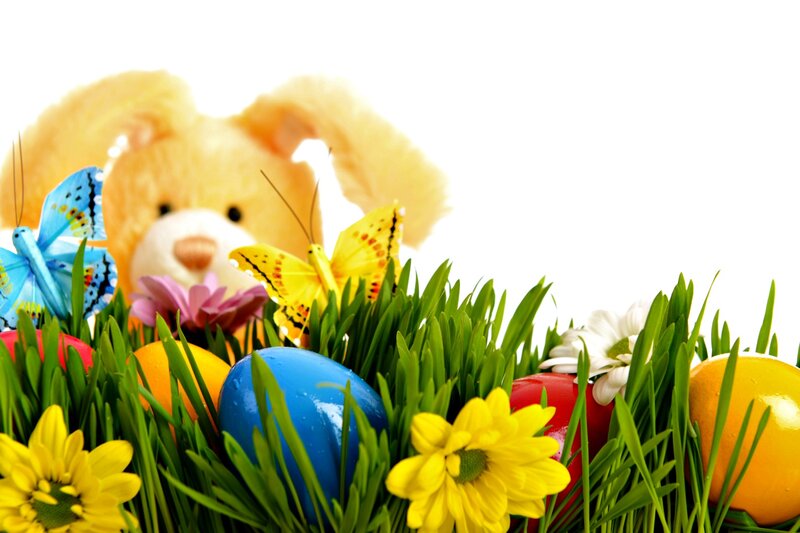 Easter Eggs in Grass — Green, Festive, Spring, Photograph, Bunny