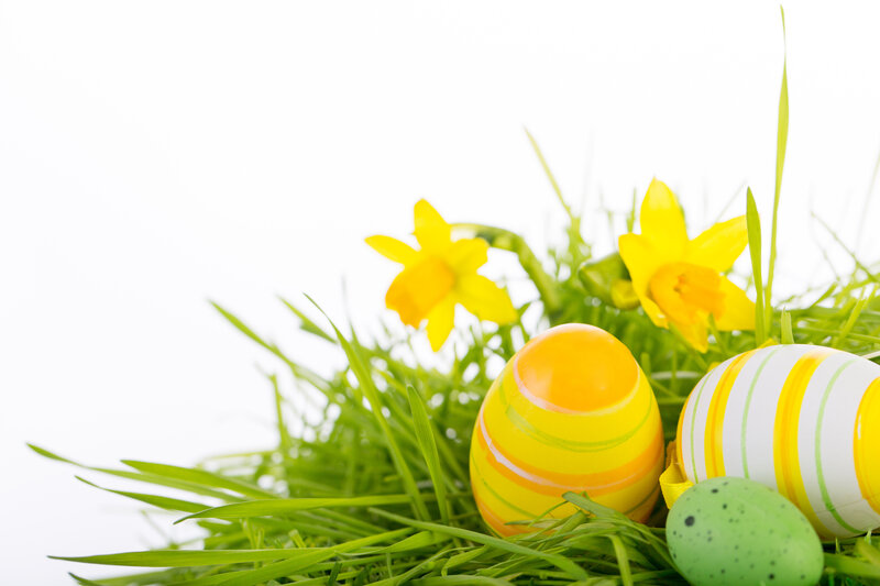 Easter Eggs in Grass — Green, Festive, Spring, Photograph, Daffodils