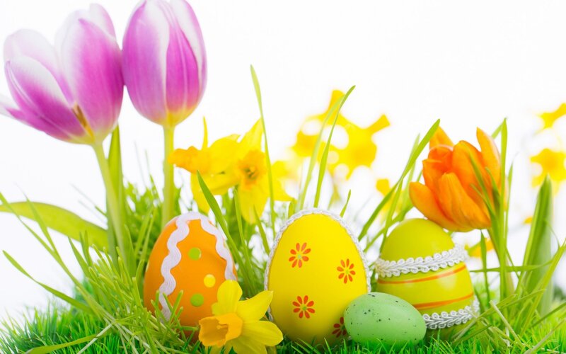 Easter Eggs in Grass — Green, Festive, Spring, Photograph, Tulips