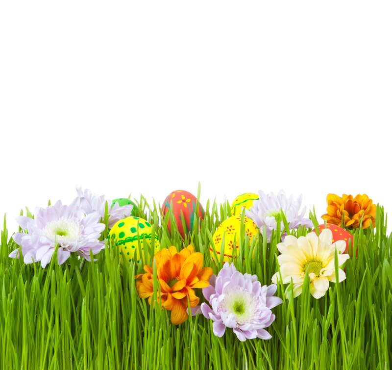 Easter Eggs in Grass — Green, Festive, Spring