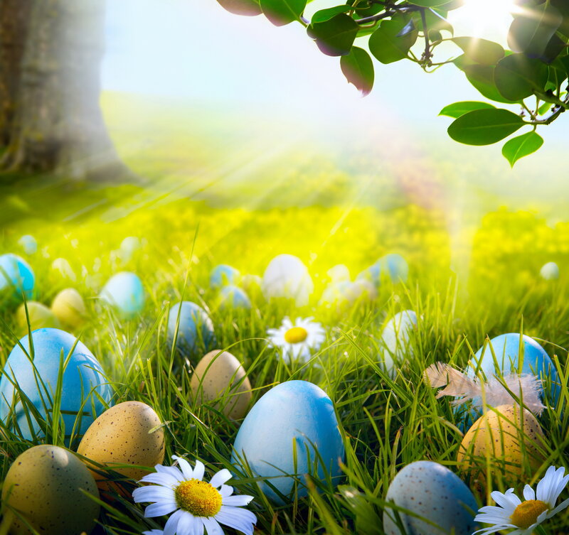 Easter Eggs in Grass — Green, Serene, Morning
