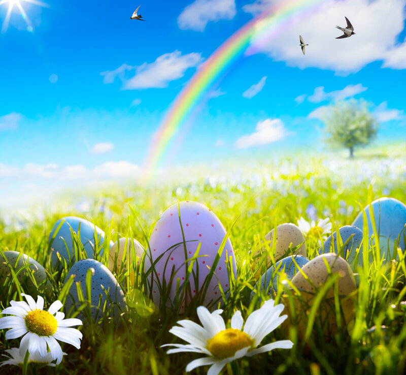 Easter Eggs in Grass — Green, Serene, Spring, Photograph, Daisies
