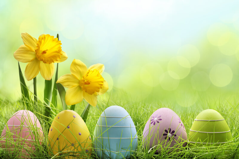 Easter Eggs in Grass — Green, Serene, Spring, Photograph