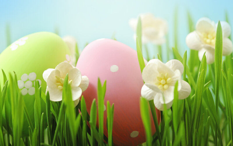 Easter Eggs in Grass — Green, Serene, Spring