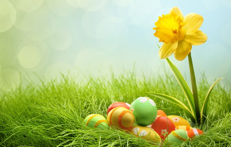 Easter Eggs in Grass — Green, Serene