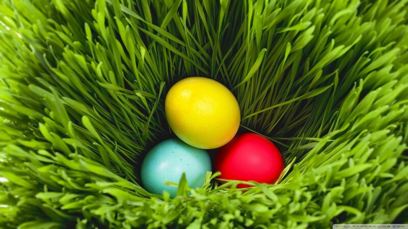 Easter eggs in grass nest