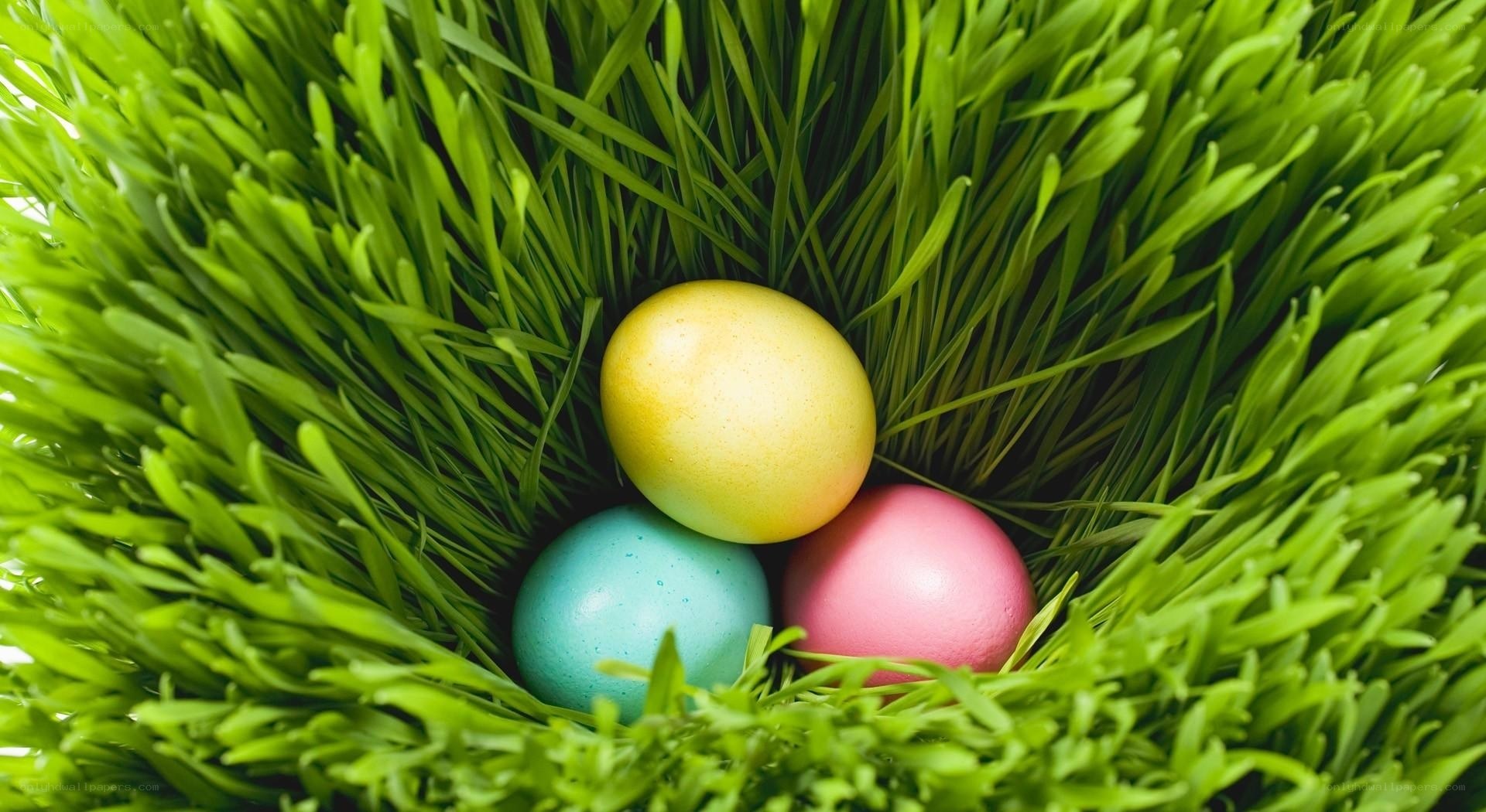 Easter eggs in grass nest