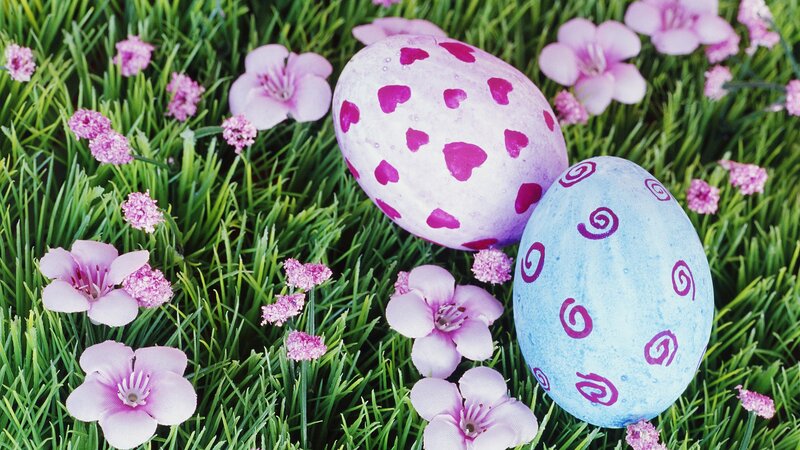 Easter eggs in grass with flowers