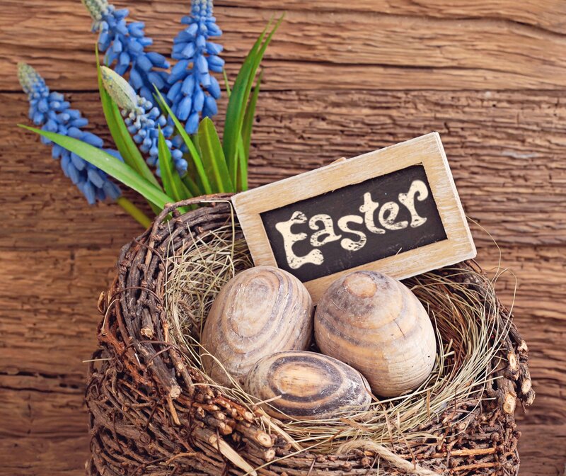 Easter Eggs in Nest — Brown, Festive