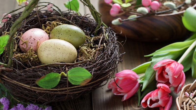 Easter Eggs in Nest — Brown, Serene, Spring