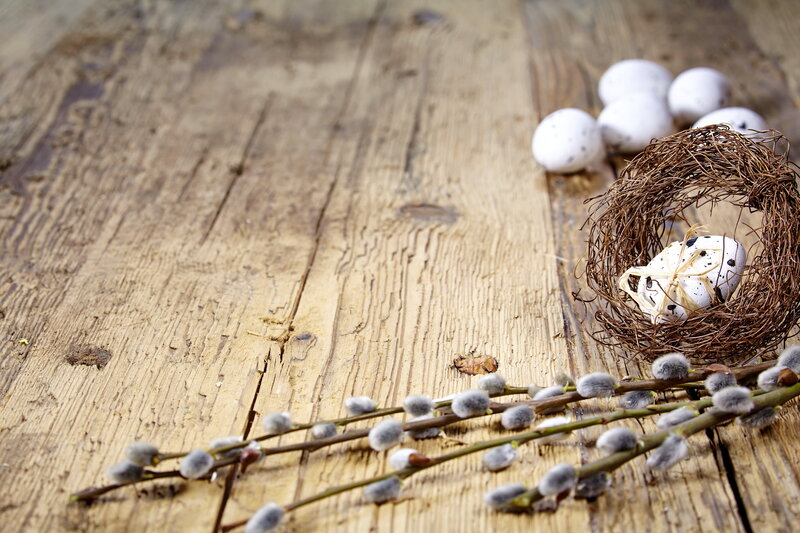 Easter Eggs in Nest — Brown, Serene