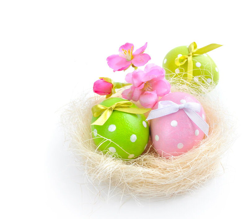 Easter Eggs in Nest — Green, Festive, Spring, Photograph