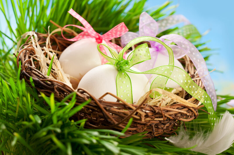 Easter Eggs in Nest — Green, Festive, Spring