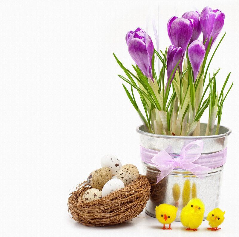 Easter Eggs in Nest — Purple