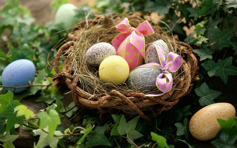Easter Eggs in Nest