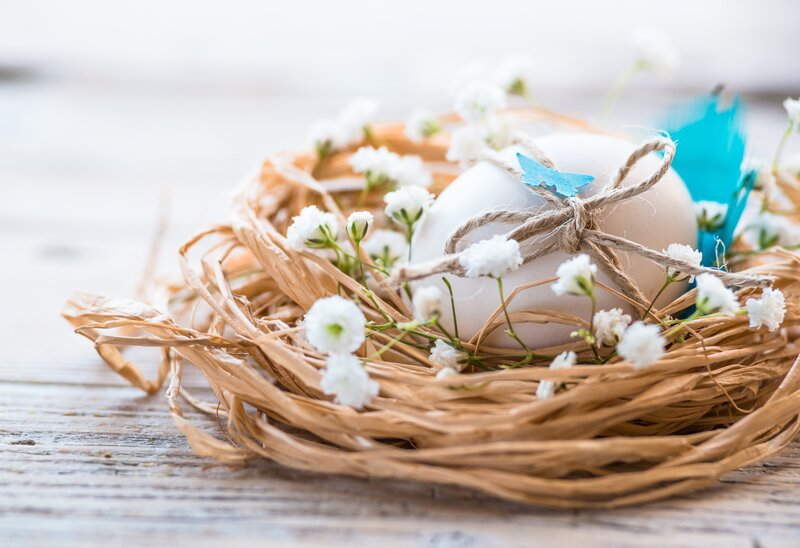 Easter Eggs in Nest — White