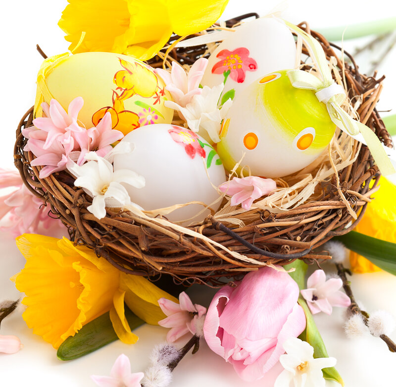 Easter Eggs in Nest — Yellow