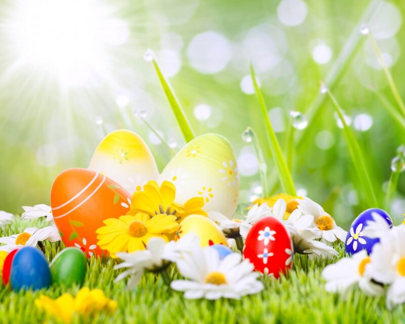 Easter eggs in spring grass