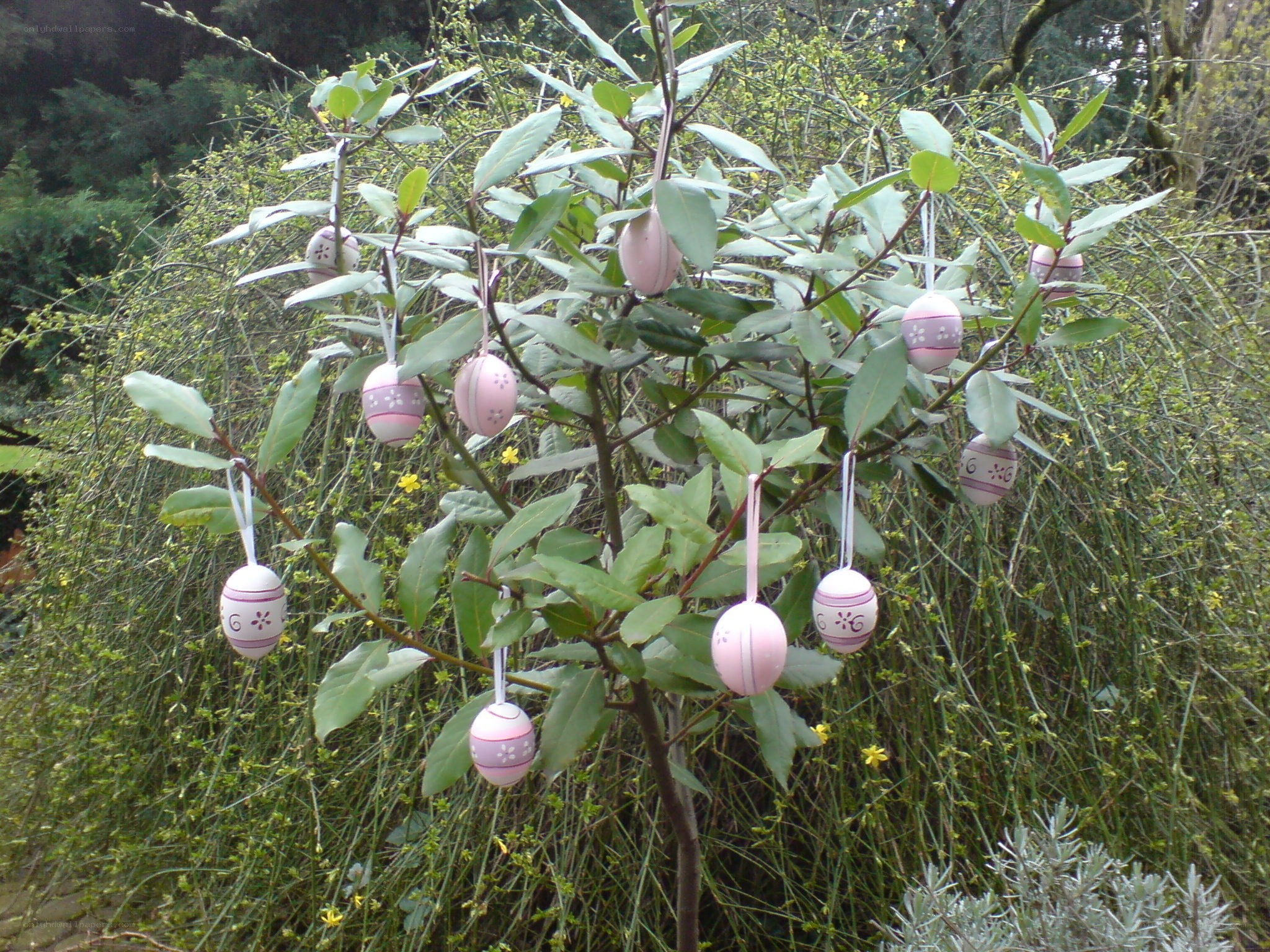 Easter eggs on a tree