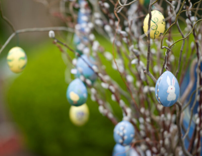 Easter Eggs on Branches — Blue
