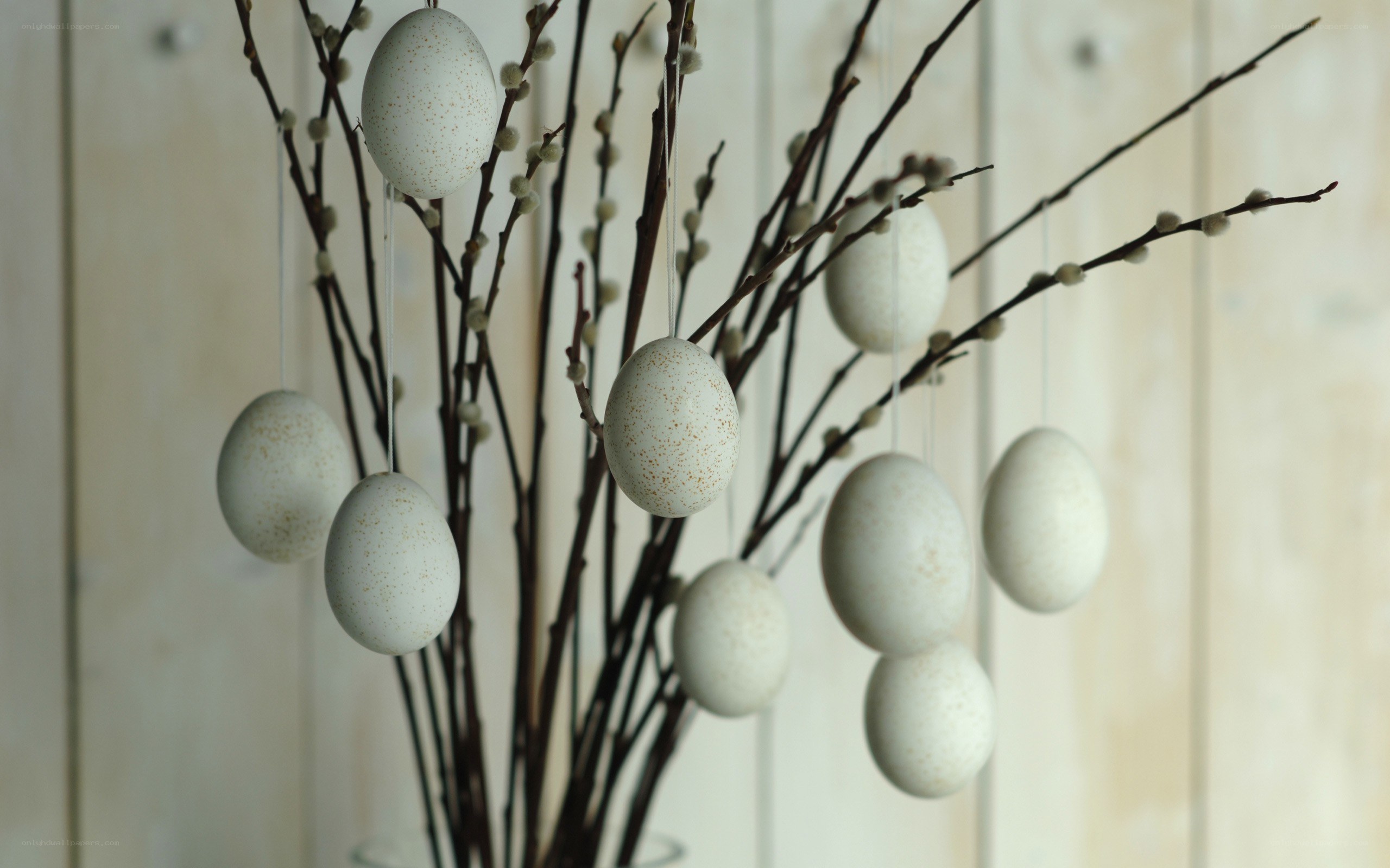 Easter eggs on willow branches