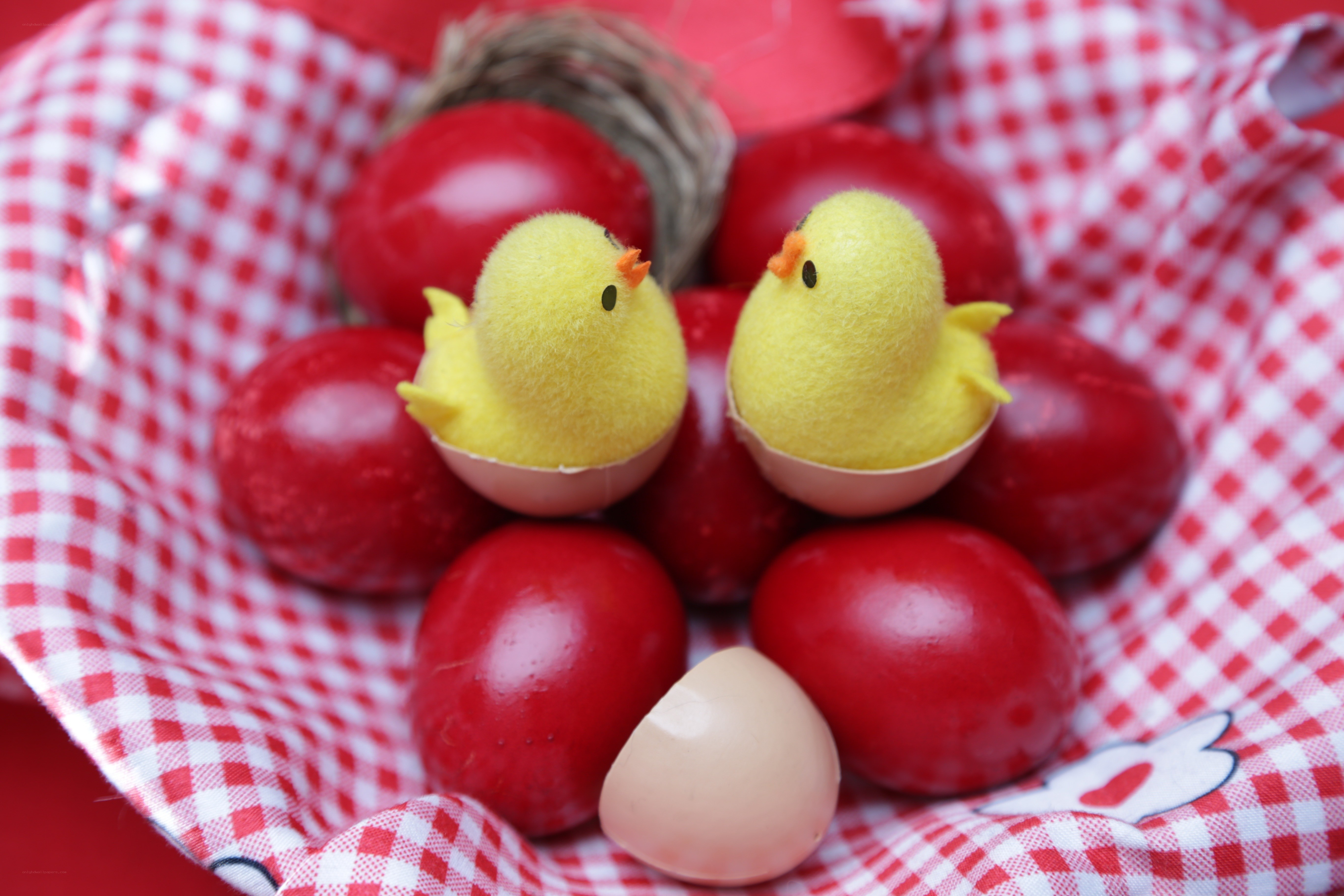 Easter eggs with chicks