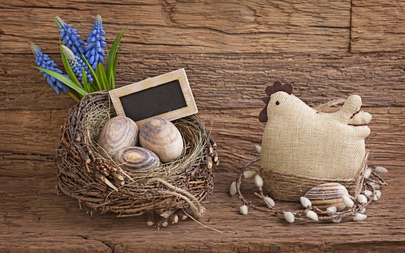 Easter Nest with Chicken — Brown
