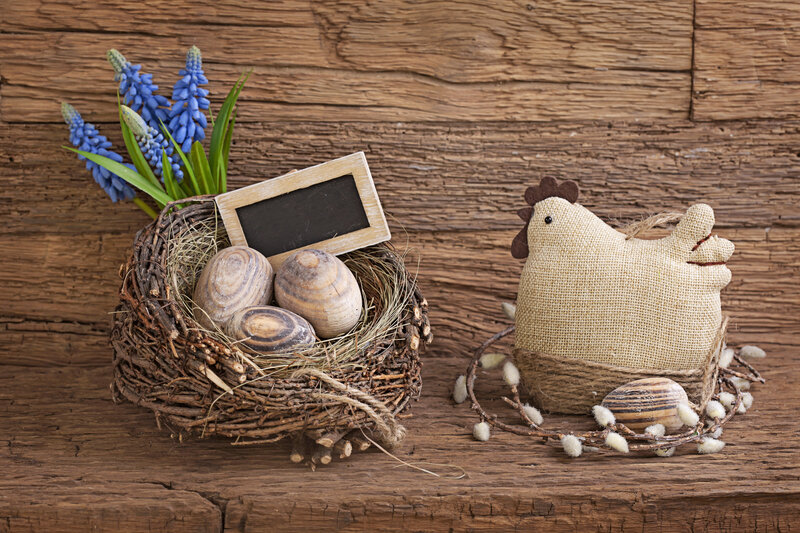 Easter Nest with Chicken